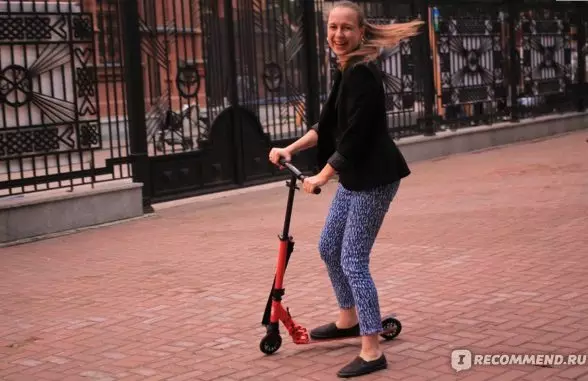 Shulz scootere: Gennemgang af scootere til voksen og børns urbane og andre elektriske dræn. Valg af tjekkisk 8697_15