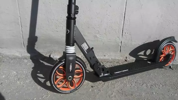 Ekipa Tech Scooter: Modely, ankizy ary olon-dehibe. Ny safidin'ny scooter telo misy kodiarana sy roa. Hevitra 8709_22