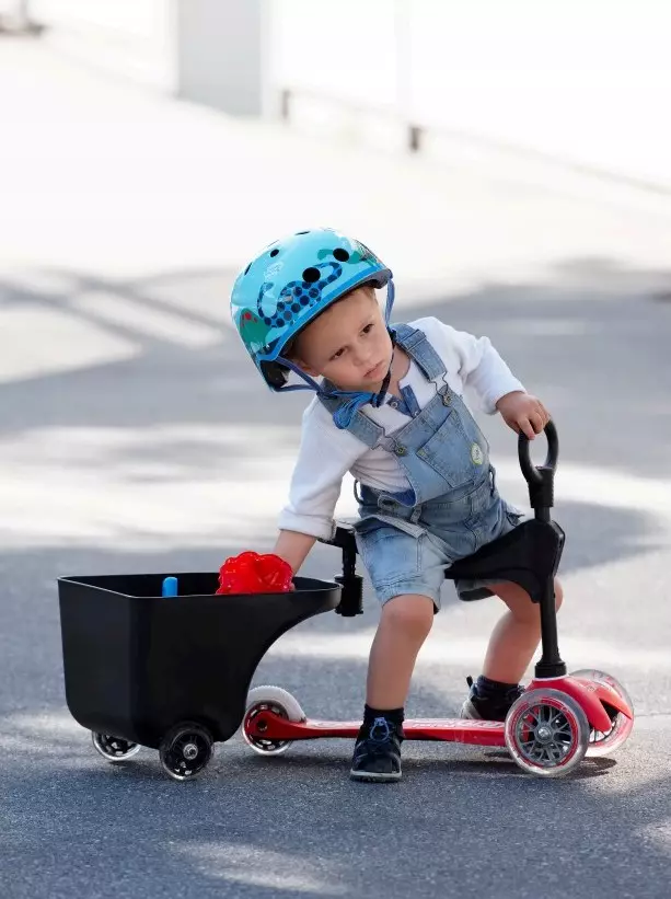 Skuter Mikro: Tinjauan model anak-anak dan dewasa roda dua dan roda tiga. Pena dan aksesori lainnya, pilih sink rumit dan listrik 8712_16