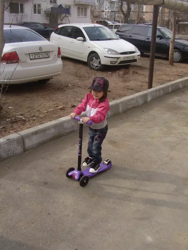 Micro-scooters: review van kinderen en volwassen tweewielige en driewielige modellen. Pennen en andere accessoires, kies lastige en elektrische wastafels 8712_30
