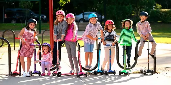Micro-scooters: review van kinderen en volwassen tweewielige en driewielige modellen. Pennen en andere accessoires, kies lastige en elektrische wastafels 8712_31