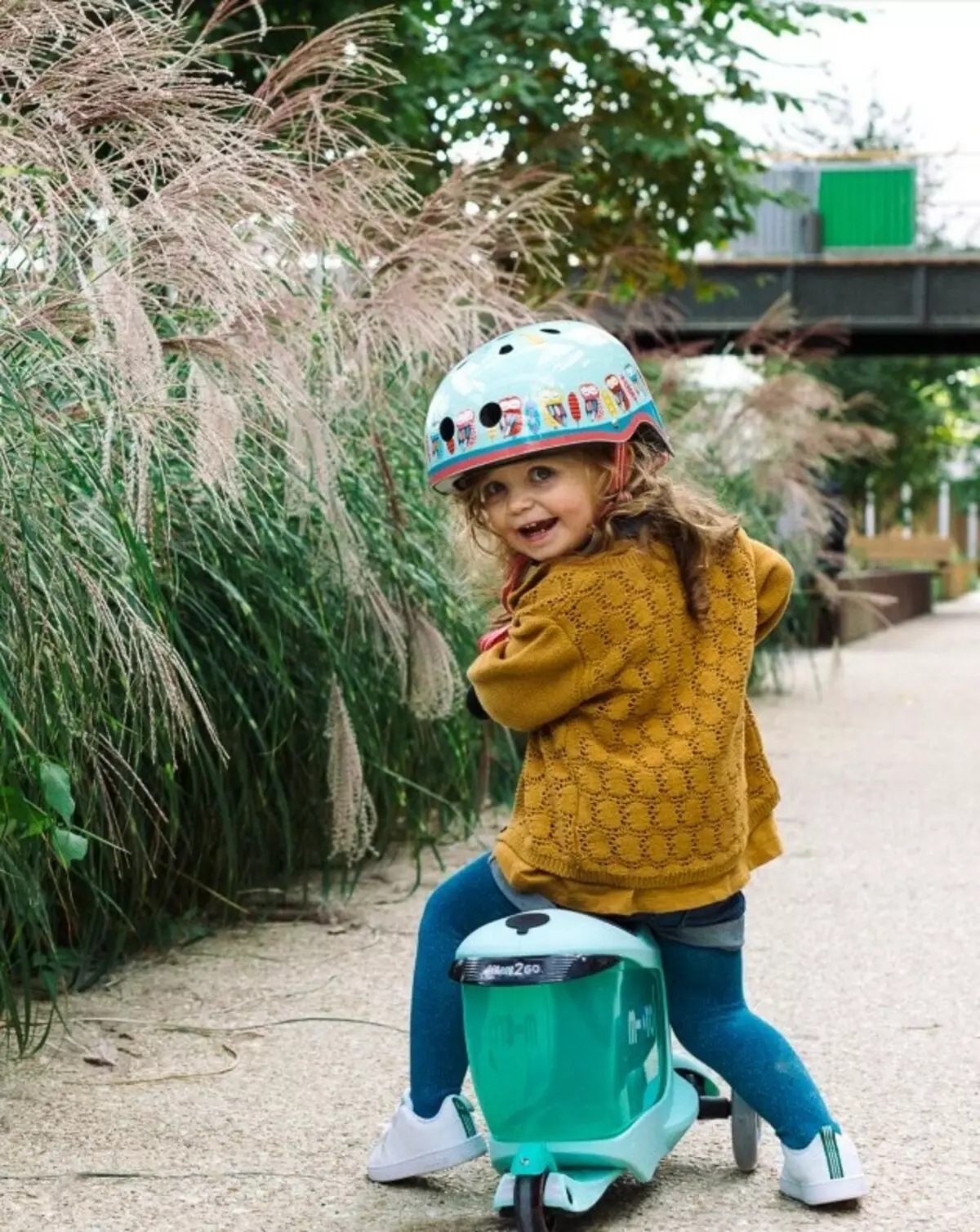 Mikro bromponies: Review van kinders se en volwasse twee-wiel en drie-wiel modelle. Penne en ander bykomstighede, kies lastig en elektriese wasbakke 8712_8