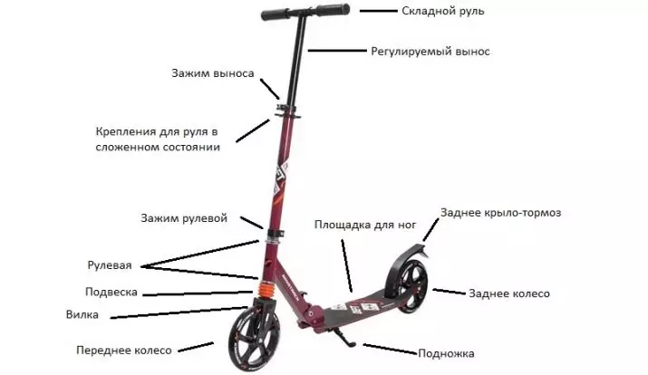 Scooter voor volwassenen (48 foto's): hoe een scooter te kiezen? Beoordeling van modellen met grote wielen, beoordeling van de beste scooters 2021, beoordelingen 8715_8