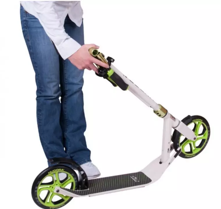Folje folwoeksen scooters: longen en kompakte modellen foar de stêd, tsjin in lading fan 120 kg 8733_10