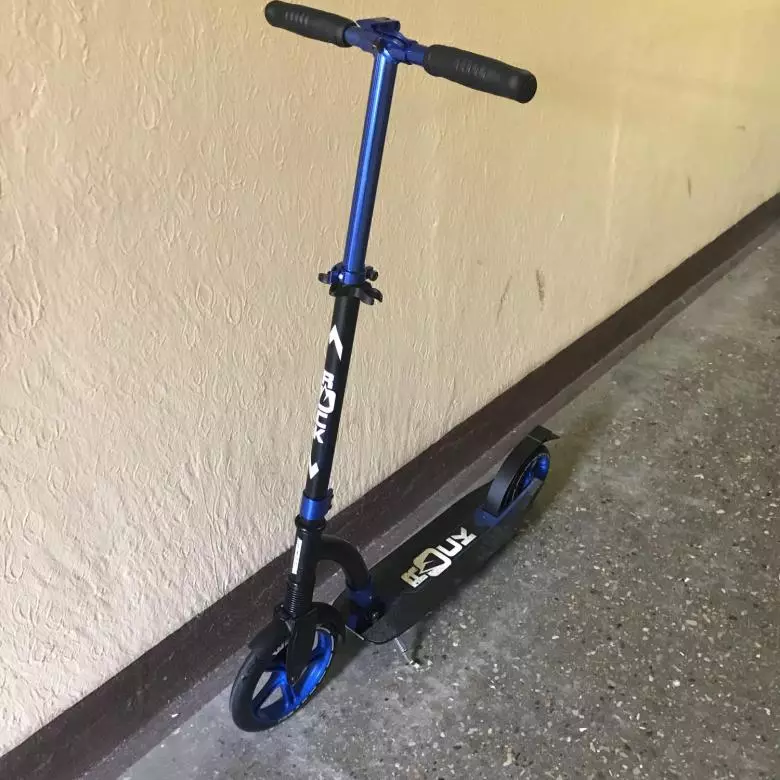 Folje folwoeksen scooters: longen en kompakte modellen foar de stêd, tsjin in lading fan 120 kg 8733_13