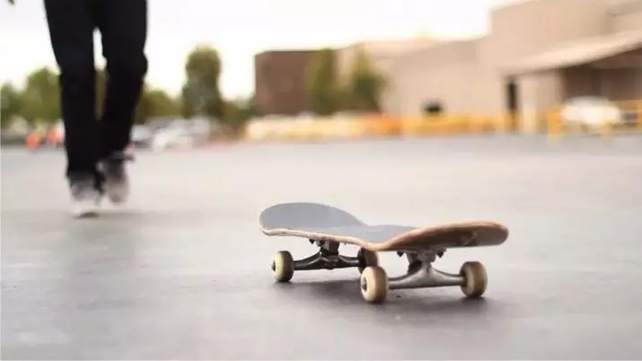 Termit Skateboards: Kako izbrati otroško in odraslo skate? Izbirni nahrbtnik in drugi dodatki. Ocene 8772_2