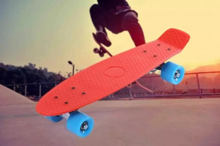 Што скејт се разликува од Крузер? Разлики на дрвениот и други скејтборд од Крузер. Што е подобро да се избере? 8779_12
