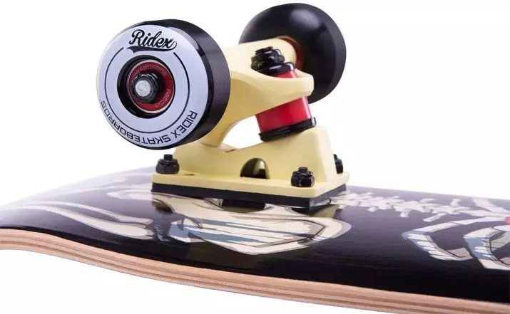 Skateboard của trẻ em: Làm thế nào để chọn một skate cho trẻ em 3, 4, 6 và 8 tuổi? Làm thế nào để chọn bảo vệ và chi tiết? Điều gì xảy ra nếu ván trượt cưỡi ở bên cạnh? 8784_25