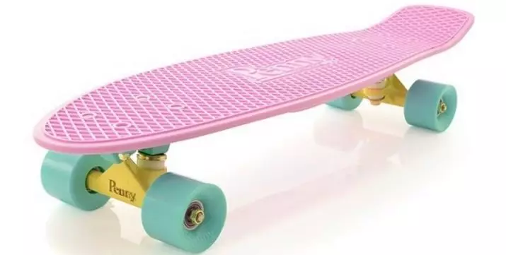 Skateboard untuk pemula: spesies skates untuk kanak-kanak dan orang dewasa. Bagaimana untuk memilih pilihan terbaik untuk pendatang baru dalam pertumbuhan dan berat badan? 8787_22