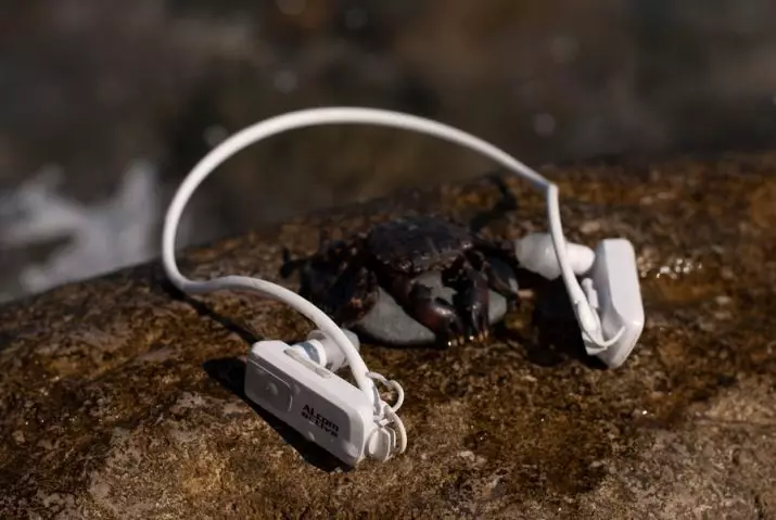 Ama-headphones echibi: Khetha amamodeli angenantambo kanye ne-wired ukubhukuda nomdlali ne-Bluetooth. Sony, JBL neminye imikhiqizo 8815_21