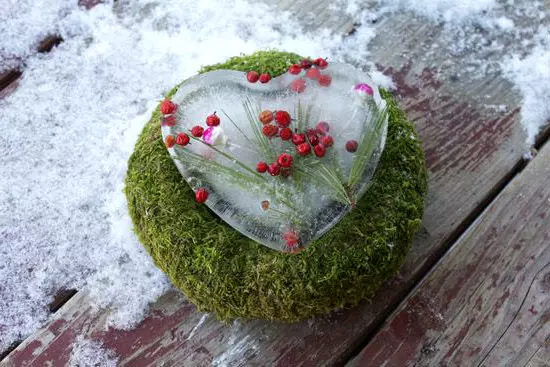 ¿Cómo hacer un hermoso patio? 65 FOTO Decoraciones de hielo para la calle con tus propias manos, decoran el territorio cerca de la casa privada en invierno y verano. 8835_10