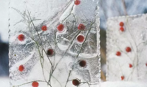 Hogyan készítsünk egy gyönyörű udvarot? 65 fotó jégdíszek az utcára a saját kezével, díszítik a területet a magánház közelében télen és nyáron 8835_12