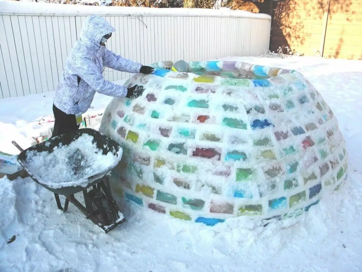 ¿Cómo hacer un hermoso patio? 65 FOTO Decoraciones de hielo para la calle con tus propias manos, decoran el territorio cerca de la casa privada en invierno y verano. 8835_15