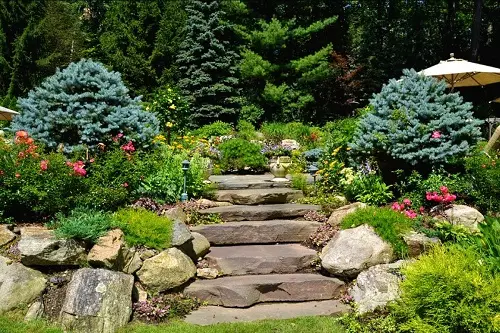 ¿Cómo hacer un hermoso patio? 65 FOTO Decoraciones de hielo para la calle con tus propias manos, decoran el territorio cerca de la casa privada en invierno y verano. 8835_53