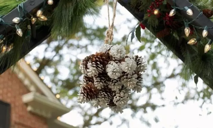 How to make a beautiful courtyard? 65 Photo Ice decorations for the street with your own hands, decorate the territory near the private house in winter and summer 8835_60