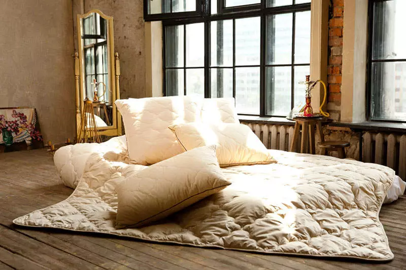 Įvertinimo pagalvės miegoti: Kas geriau pagal atsiliepimus? Geriausi gamintojai. Kaip pasirinkti patogiausią pagalvę? 8844_13