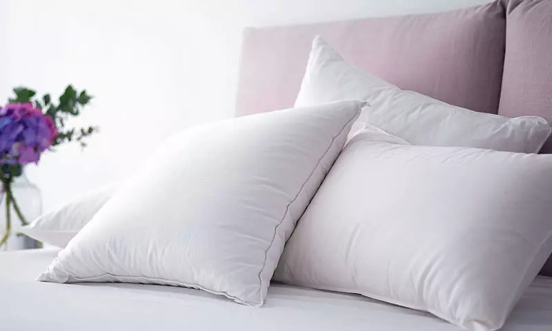 睡眠用の評価枕：レビューによれば何がいいですか？トップ製造業者。最も快適な枕を選ぶには？ 8844_4