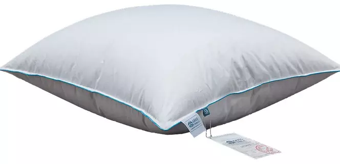 Calificación Almohadas para dormir: ¿Qué mejor según las revisiones? Los principales fabricantes. ¿Cómo elegir la almohada más cómoda? 8844_43