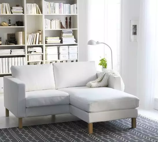 I-Sofas encinci (iifoto ezingama-96): ubungakanani be-mini-sofa, isitayile esincinci esincinci seSobala amagumbi amancinci kunye nezinye iimodeli 8913_11