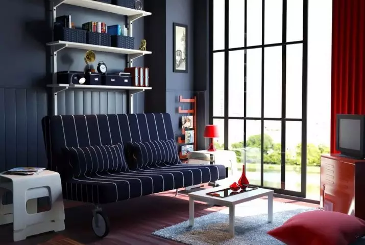Θήκη στον καναπέ IKEA: Επιλογή κλινοσκεπασμάτων για γωνιακούς καναπέδες χωρίς υποβραχιόνια, καθολικά καλύμματα και άλλες επιλογές 8963_36