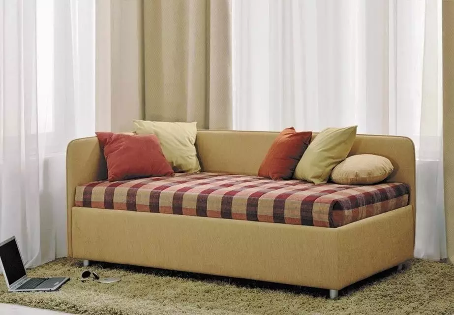 Cila është osmani i ndryshëm nga shtrati? Diferenca nga divani dhe divani. Çfarë është më e mirë dhe cili është ndryshimi? 8965_12