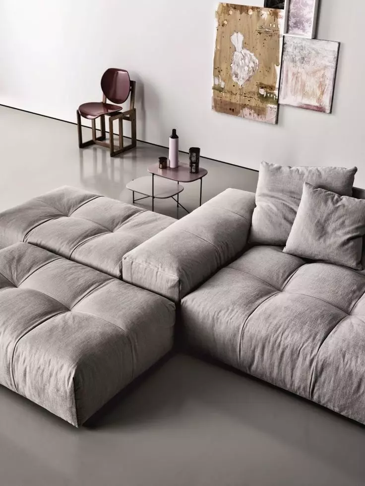 Sofa thấp (22 ảnh): Góc và các mô hình khác có độ vừa thấp, với lưng và không có nó, mô hình gấp nhỏ và lớn 8966_15