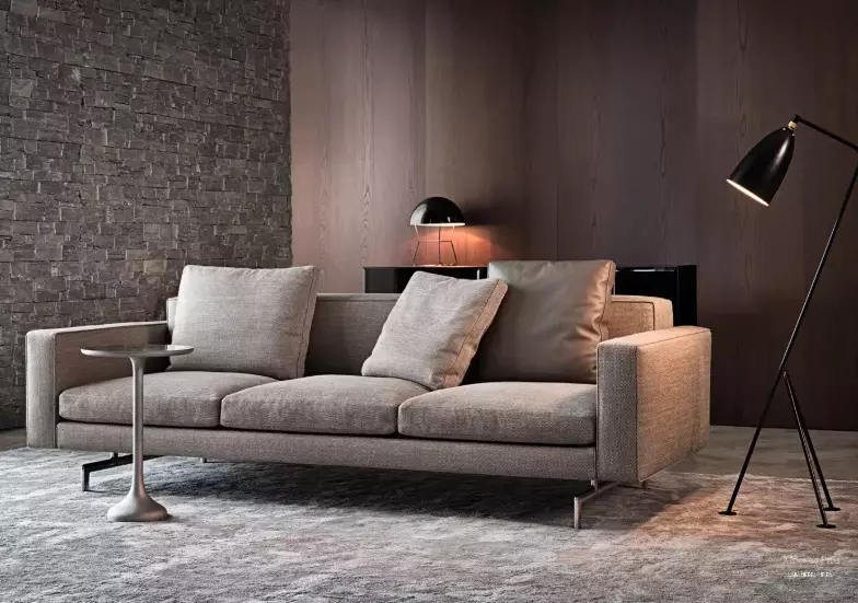 Sofa thấp (22 ảnh): Góc và các mô hình khác có độ vừa thấp, với lưng và không có nó, mô hình gấp nhỏ và lớn 8966_18