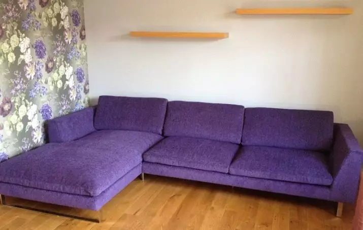 SHENIL עבור הספה (28 תמונות): אנו לומדים את המאפיין של השניל על הריפוד של הספה. יתרונות וחסרונות. איזה משוב על בד? 8975_24