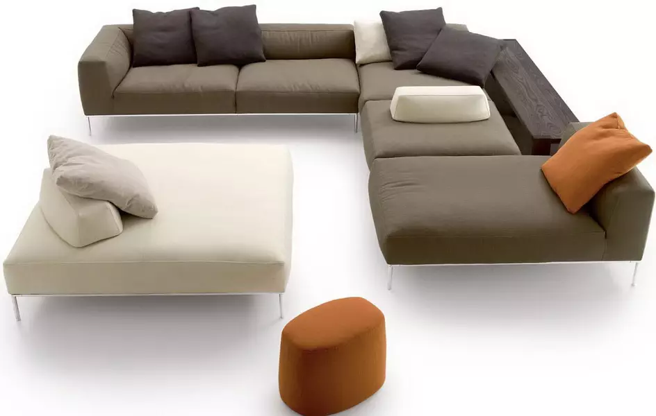 Kanapé egy doboz vászon: válasszon egy összecsukható kanapé, fiókokkal, kétszemélyes és egyszemélyes kanapéval 8978_13