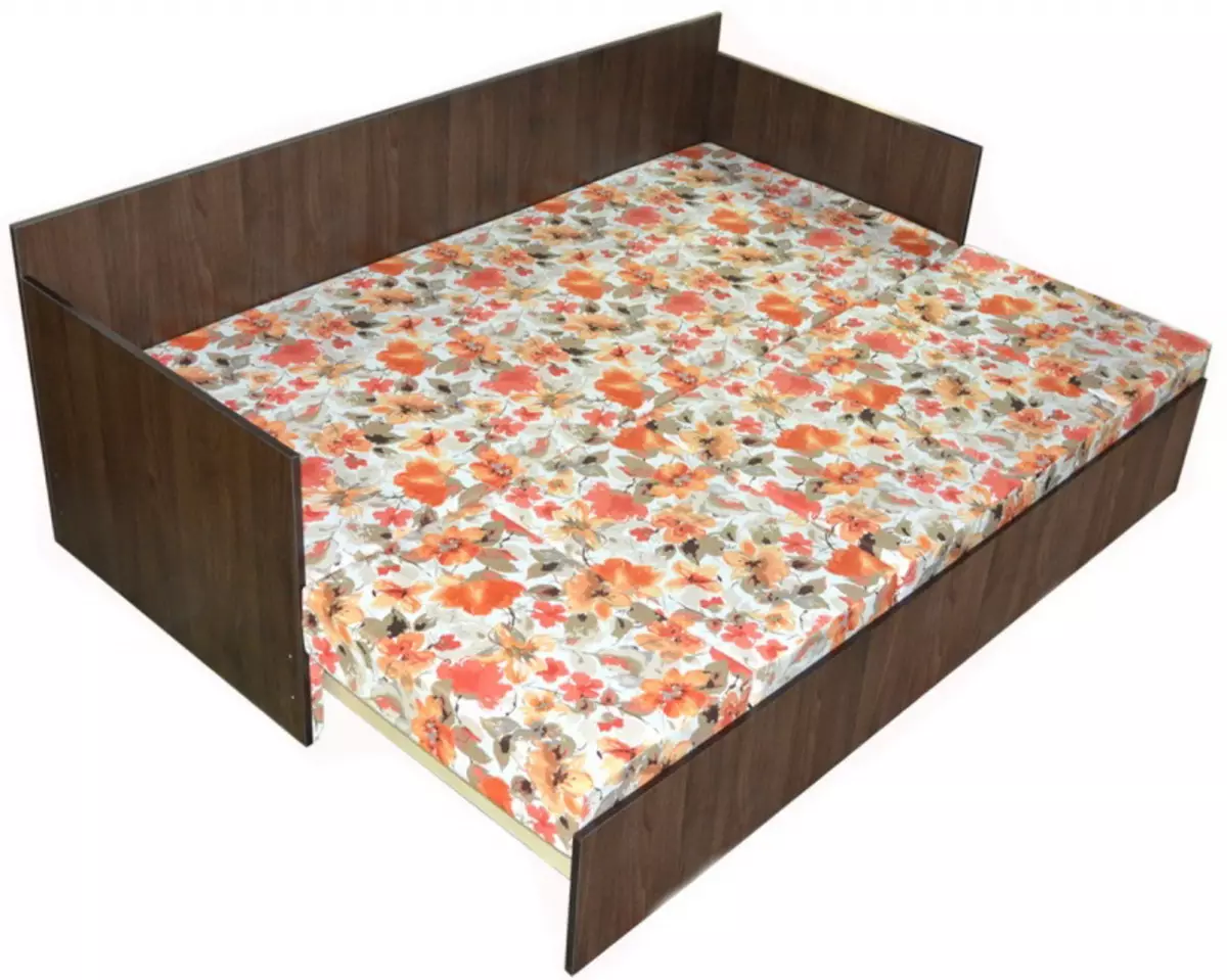 Canapea cu o cutie pentru lenjerie: Alegeți o canapea extensibilă pliabilă cu sertare, canapea dublă și unică 8978_27