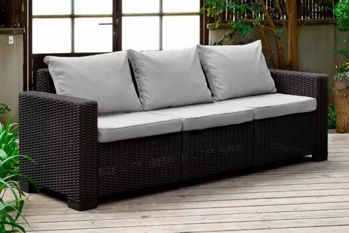 Sofa với một hộp cho vải lanh: Chọn một chiếc giường sofa gấp với ngăn kéo, đôi sofa và đơn 8978_30