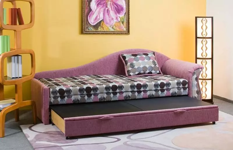 Sofa pẹlu apoti kan fun Linen: Yan ibusun ti a ṣepọ pẹlu awọn iyaworan pẹlu awọn iyaworan, ilọpo meji ati sofa kan 8978_6