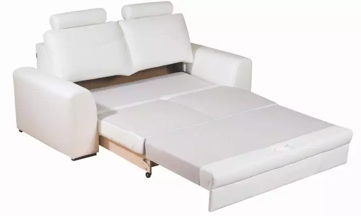 Giường sofa nhỏ: Ghế sofa nhỏ nhỏ và nhỏ gọn rộng 120 cm rộng và nhiều hơn nữa, kích cỡ của các mô hình gấp 8989_18