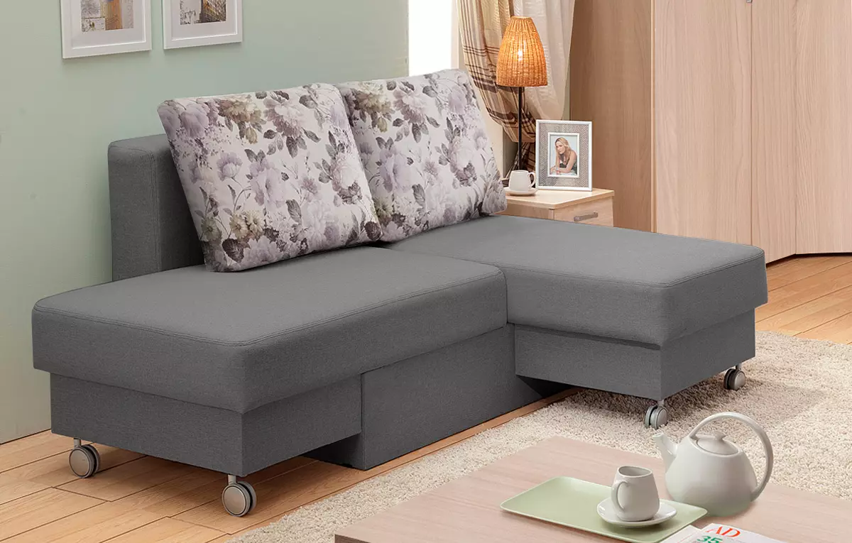 Lille sovesofa: mini og kompakte små sofas-senge 120 cm bred og mere, størrelser af foldemodeller 8989_5