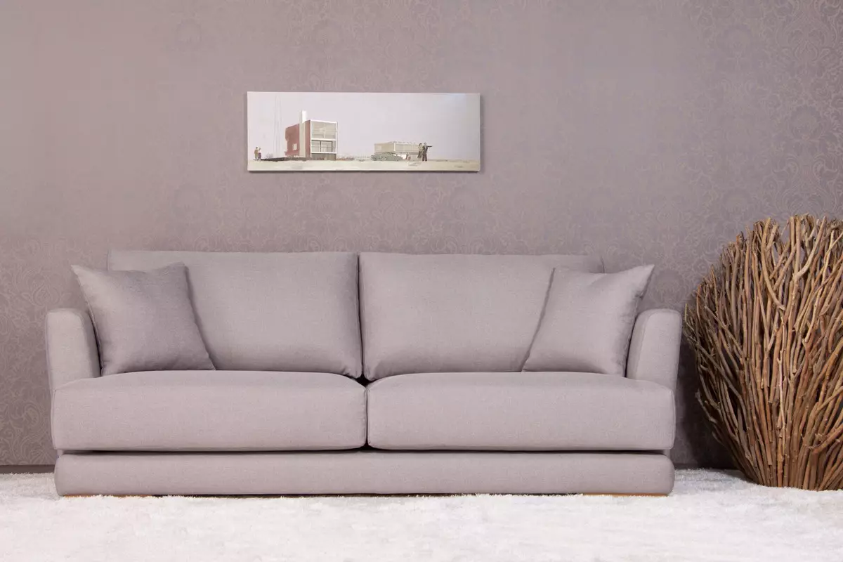 Sofa Sofa (Picha 53): Chagua super starehe na nzuri sofa laini 8992_6