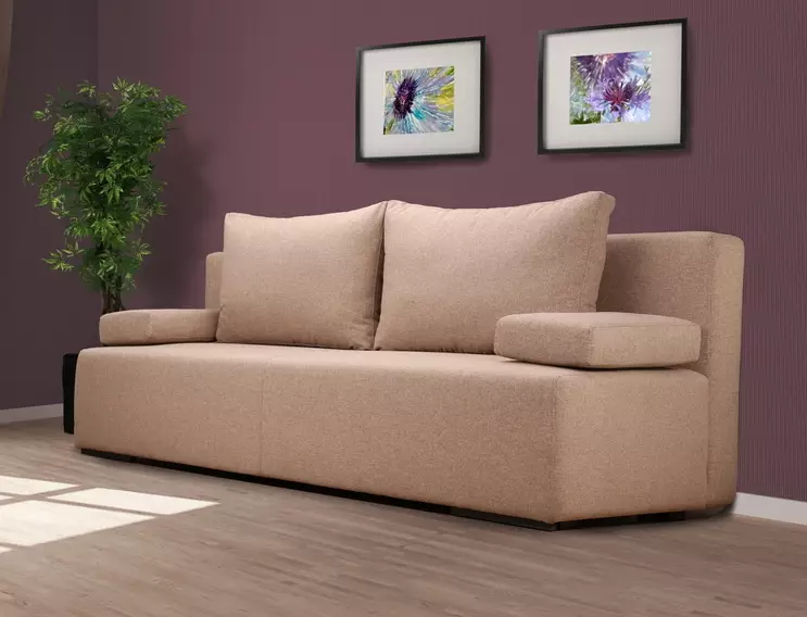 Sofa dengan blok spring bebas: apakah mata air bebas? Sudut, sofa lurus dan modular. Apa yang lebih baik untuk tidur? Ulasan 8994_29