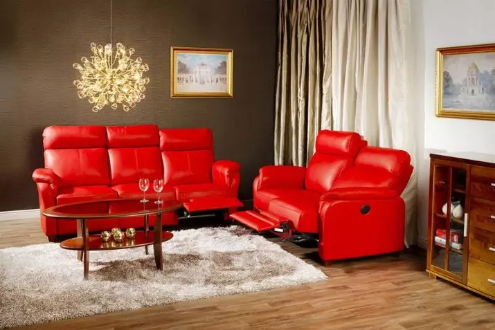 Sofa với một bộ điều thanh cơ chế: Với một nơi ngủ và thẳng, với nhà quảng cáo điện, cho rạp hát tại nhà, đôi và gấp ba 8996_14