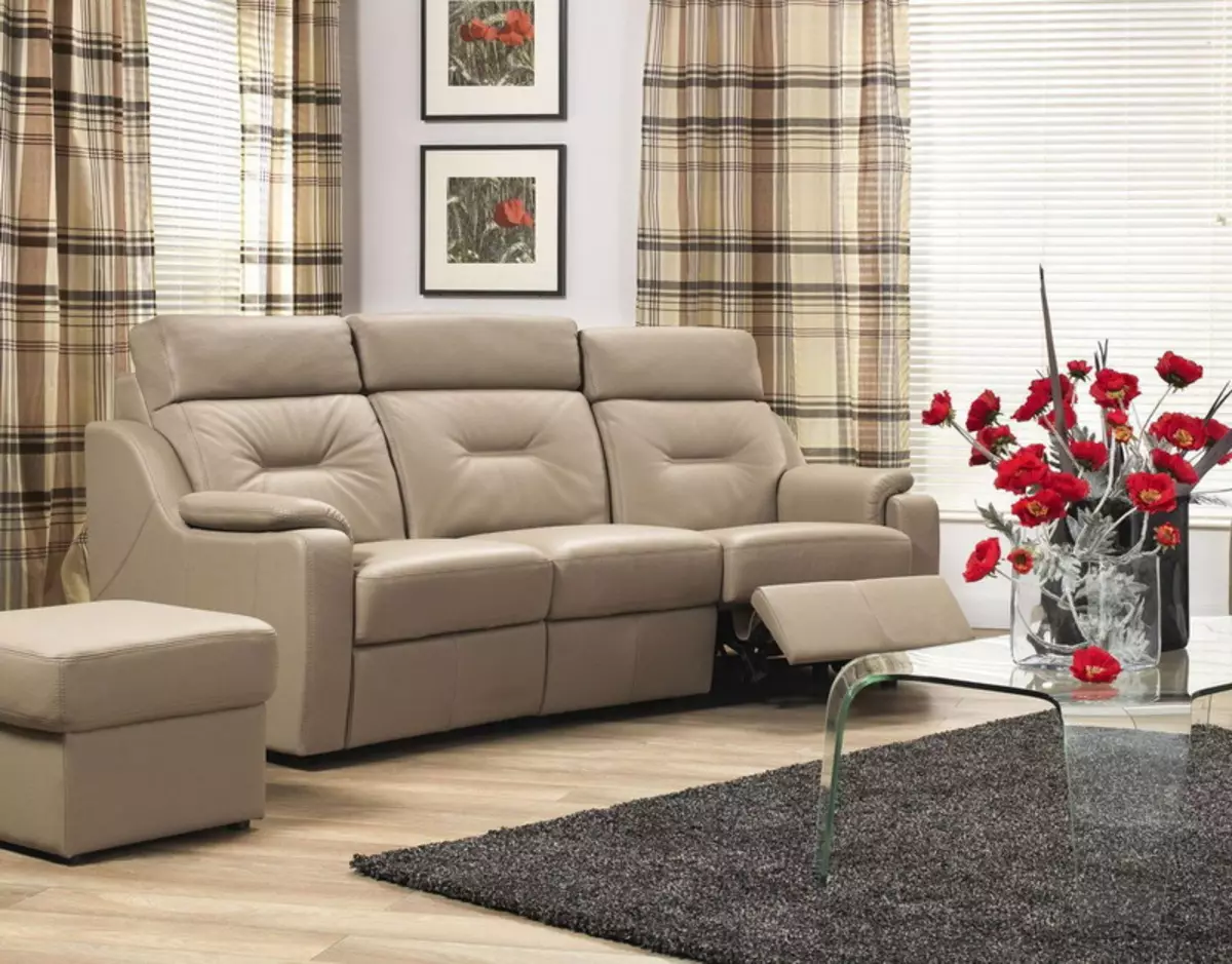 Καναπές με μηχανισμό Adverter: με μια θέση ύπνου του γωνία και ευθεία, με ηλεκτρικό διαφημιζόμενο, για home theater, δίκλινα και τρίκλινα 8996_16
