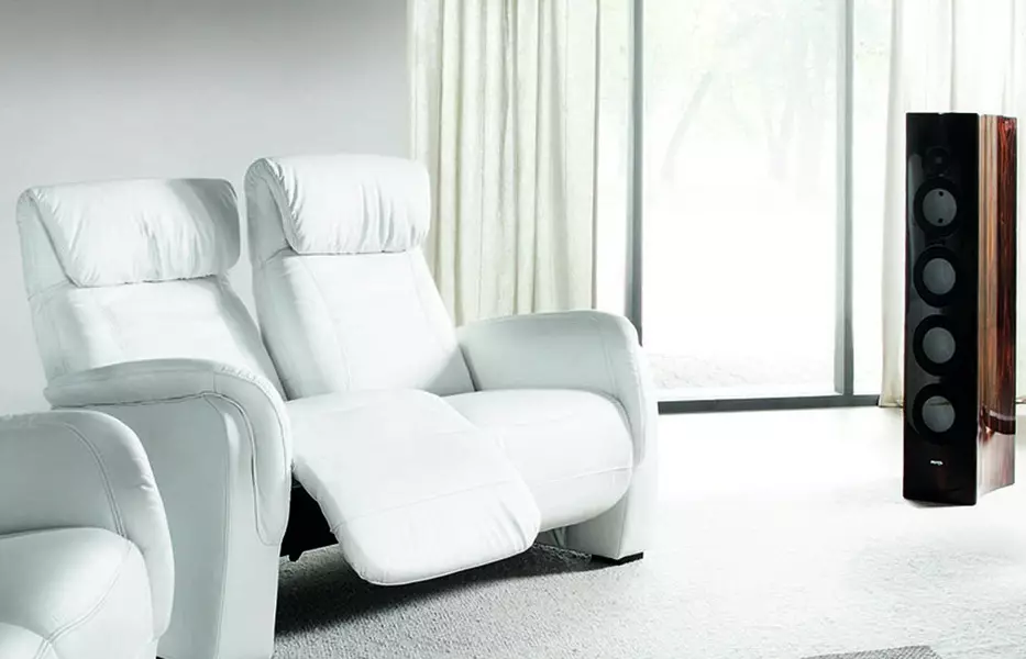 Sofa ar mehānismu reklāmu: ar miega vietu stūrī un taisni, ar elektrisko reklāmdevēju, mājas kinozālei, dubultā un trīskāršā 8996_40