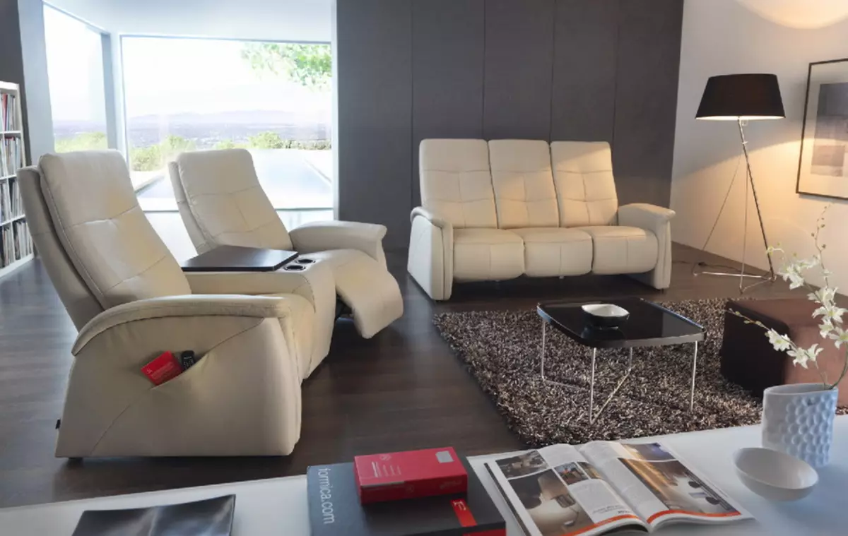 ספה עם מנגנון Adverter: עם מקום שינה של פינה ישר, עם מפרסם חשמלי, עבור קולנוע ביתי, כפול משולש 8996_41