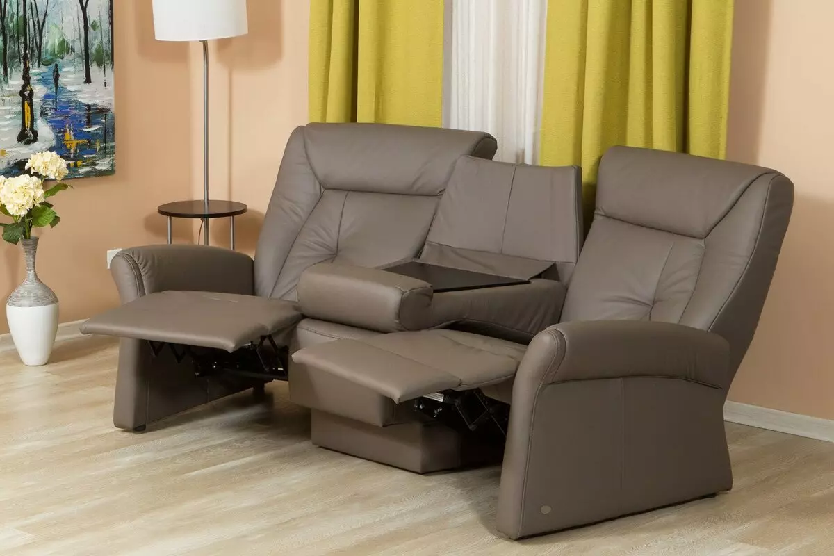 Sofa dengan Adverter Mekanisme: dengan tempat tidur sudut dan lurus, dengan pengiklan listrik, untuk home theatre, double dan triple 8996_5