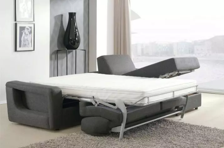 ऑर्थोपेडिक मॅट्रेससह सोफा बेड: वसंत ऋतु आणि अनैतिक गवत असलेल्या रोल-आउट आणि फोल्डिंग सोफासाठी निवडा 8999_12