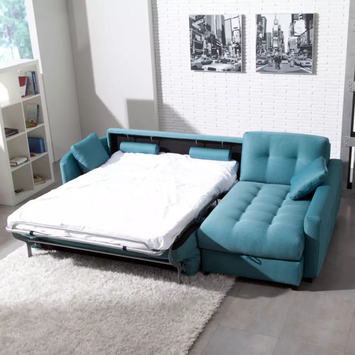 Katil sofa dengan tilam ortopedik: memilih untuk menggunakan harian roll-out dan sofa lipat dengan tilam musim bunga dan anatomi 8999_13