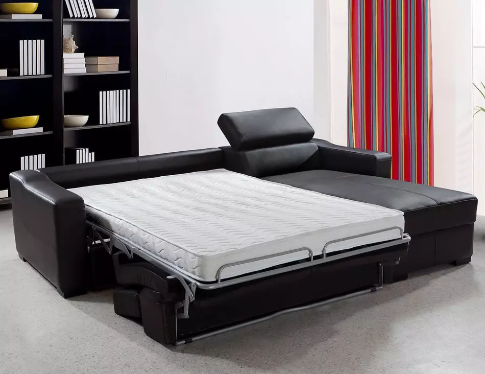 Giường sofa với một tấm nệm chỉnh hình: Chọn để sử dụng hàng ngày Sofa lăn và gấp ghế sofa với lò xo và nệm giải phẫu 8999_14