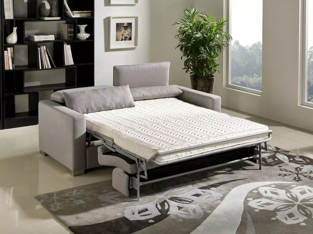 Giường sofa với một tấm nệm chỉnh hình: Chọn để sử dụng hàng ngày Sofa lăn và gấp ghế sofa với lò xo và nệm giải phẫu 8999_15