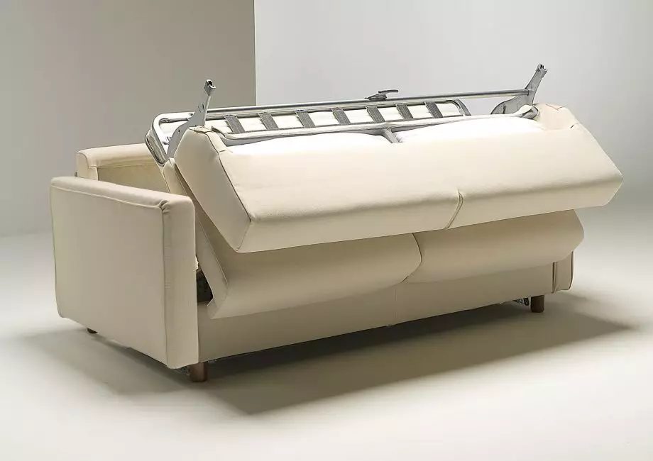 Kauč ​​na rasklapanje s ortopedskim madracem: Odaberite za svakodnevnu uporabu roll-out i sklopivi sofe s proljeće i anatomski madrac 8999_17