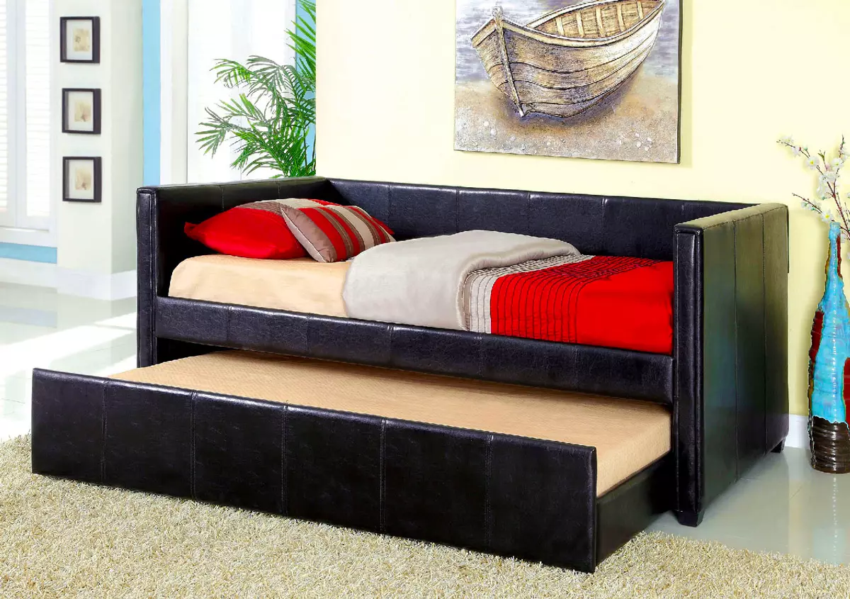 Giường sofa với một tấm nệm chỉnh hình: Chọn để sử dụng hàng ngày Sofa lăn và gấp ghế sofa với lò xo và nệm giải phẫu 8999_19