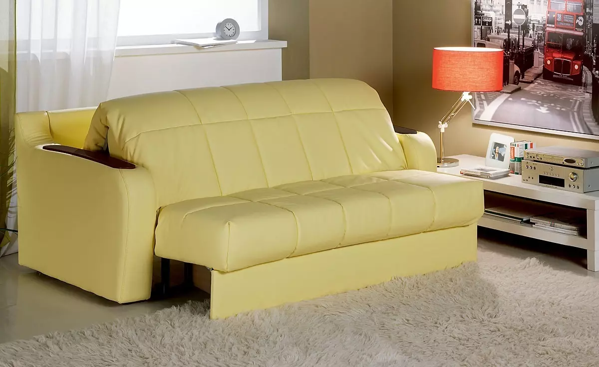 Giường sofa với một tấm nệm chỉnh hình: Chọn để sử dụng hàng ngày Sofa lăn và gấp ghế sofa với lò xo và nệm giải phẫu 8999_22