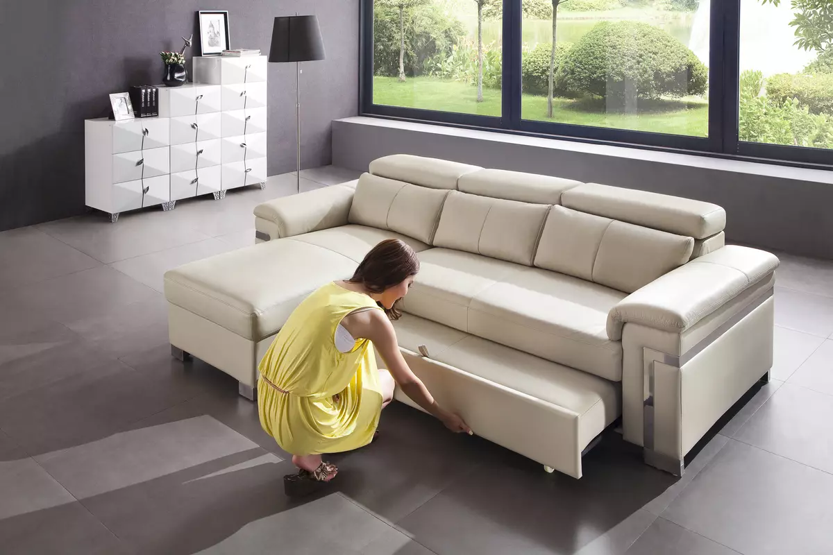 Giường sofa với một tấm nệm chỉnh hình: Chọn để sử dụng hàng ngày Sofa lăn và gấp ghế sofa với lò xo và nệm giải phẫu 8999_23