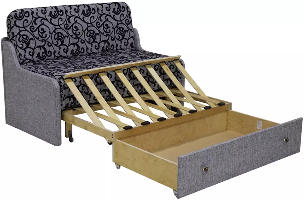 Katil sofa dengan tilam ortopedik: memilih untuk menggunakan harian roll-out dan sofa lipat dengan tilam musim bunga dan anatomi 8999_25